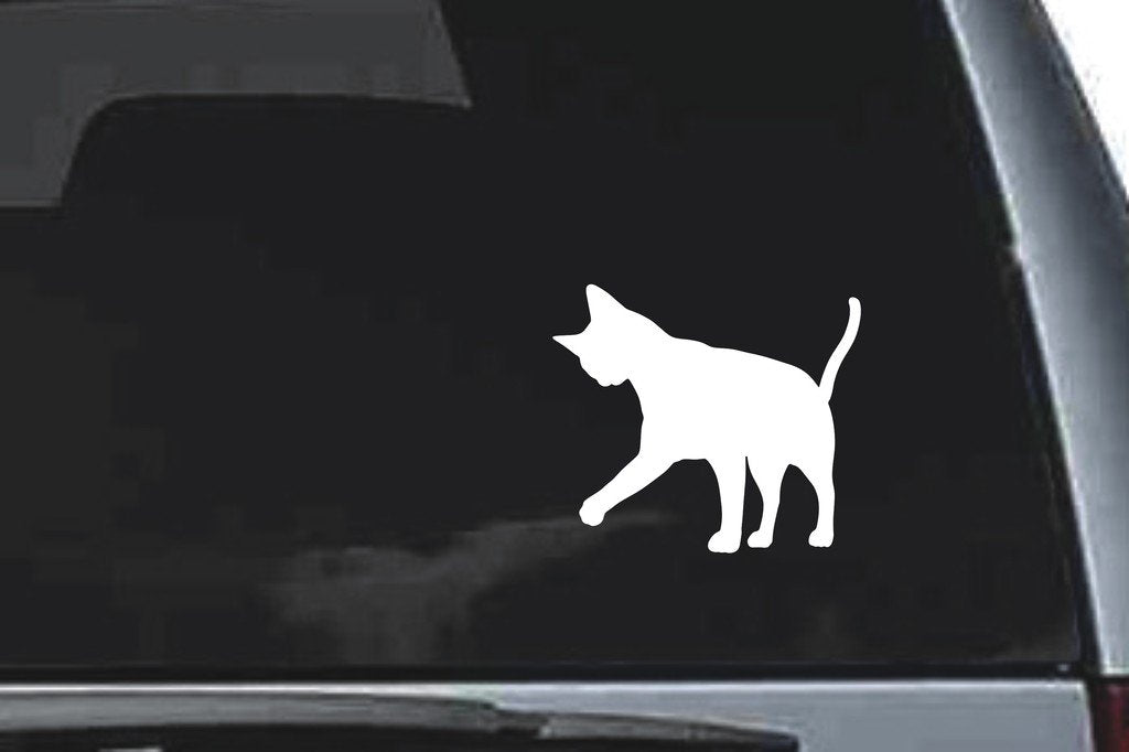 Picniva Abyssinian Cat Sty4 Vinyl Car Window Decal, Approx 5 in