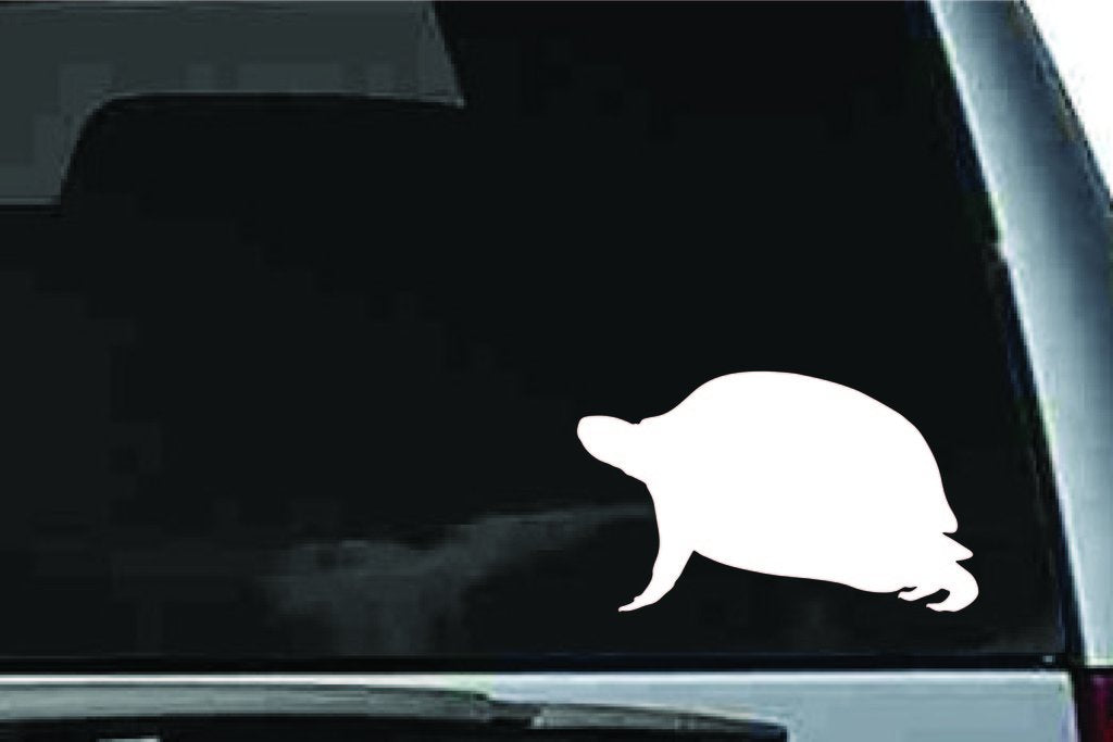 Picniva Box Turtle Sty4 Vinyl Car Window Decal, Approx 5 in