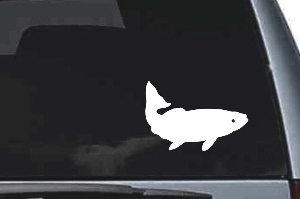 Picniva Golden Trout Vinyl Car Window Decal, Approx 5 in