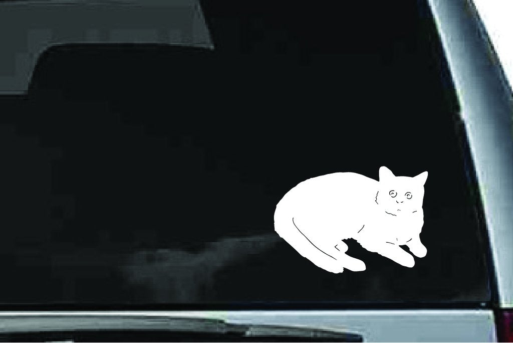 Picniva Cat Sty5 Vinyl Car Window Decal, Approx 5 in