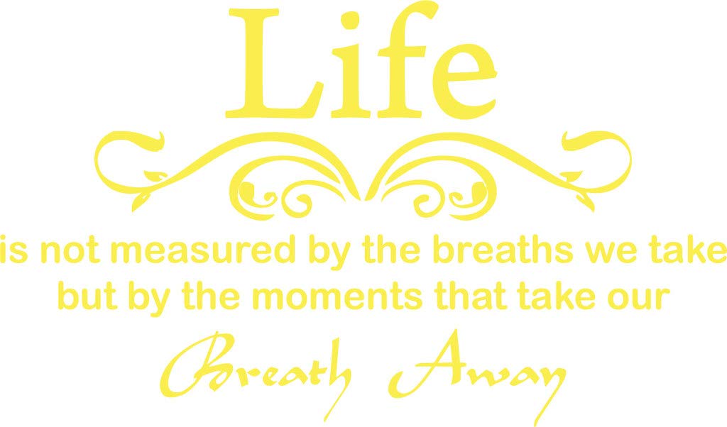 Picniva Life Is Not Measured Quote Vinyl Wall Decal, Yellow, 25 x 15 in
