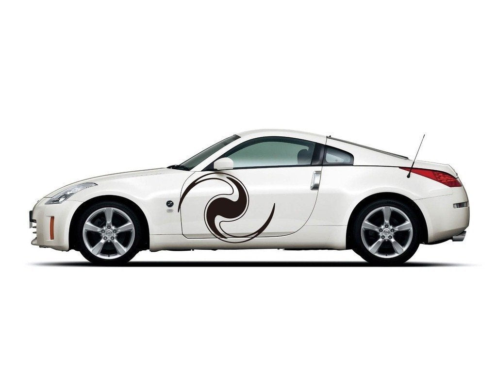 Picniva Circular Swirl Vinyl Car Body Side Decals, Two Pack