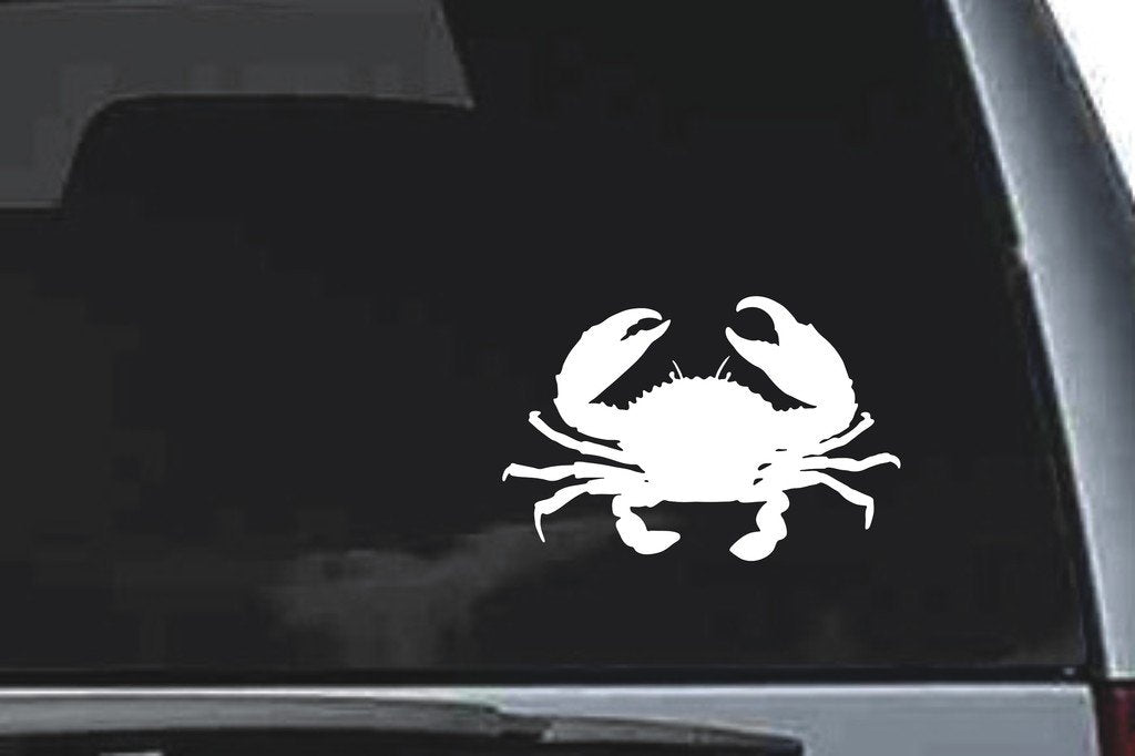 Picniva Cancer Sty3 Vinyl Car Window Decal, Approx 5 in