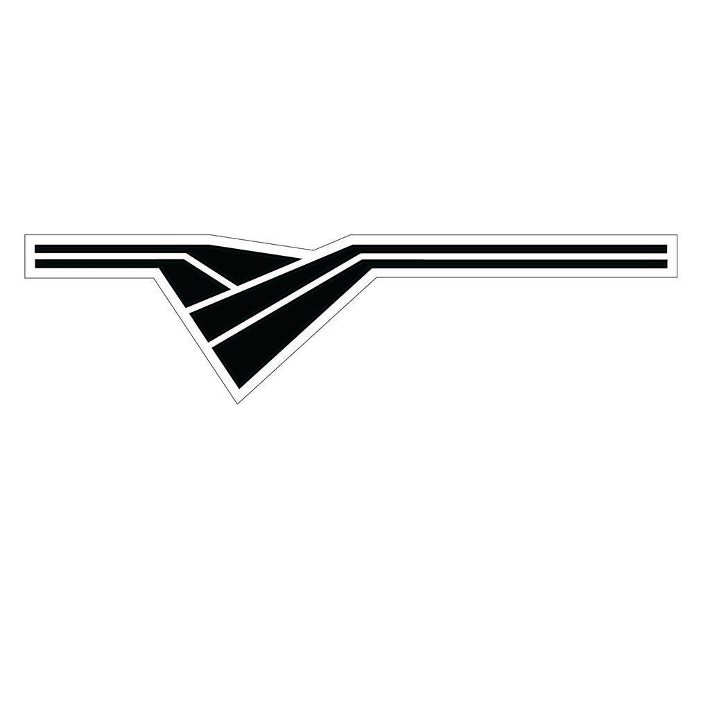 Picniva Style 10 Racing Side Stripe Vinyl Decals, 11 x 44 in, 2 Pc