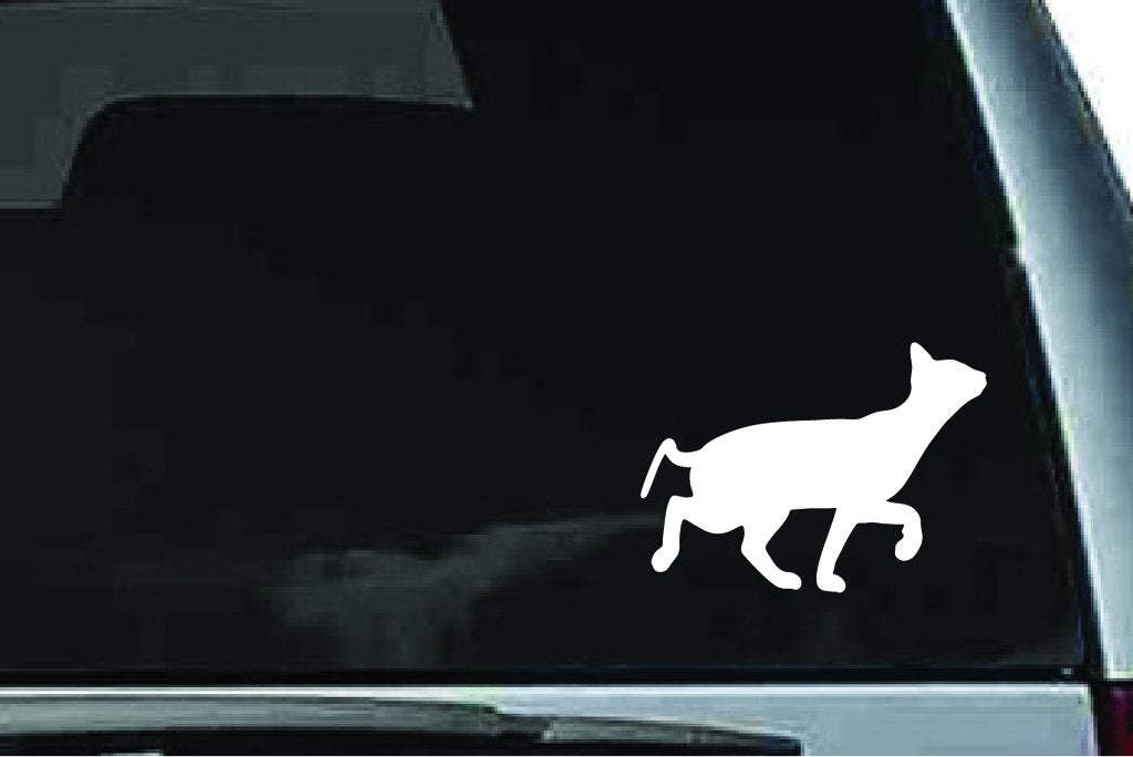 Picniva Oriental Cat Sty6 Vinyl Car Window Decal, Approx 5 in