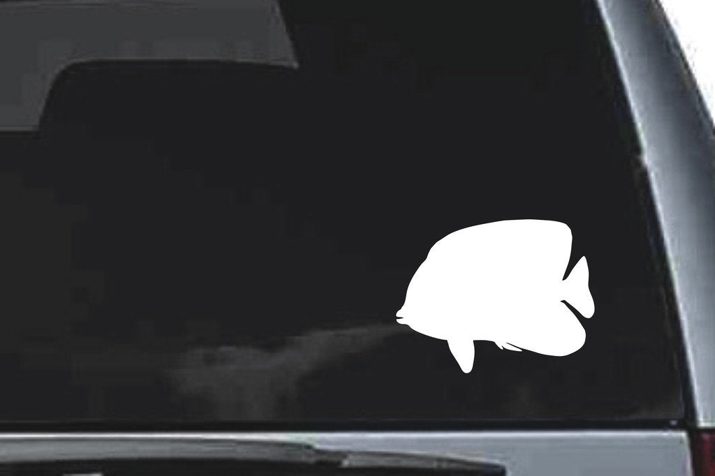 Picniva Angelfish Sty1a Vinyl Car Window Decal, Approx 5 in