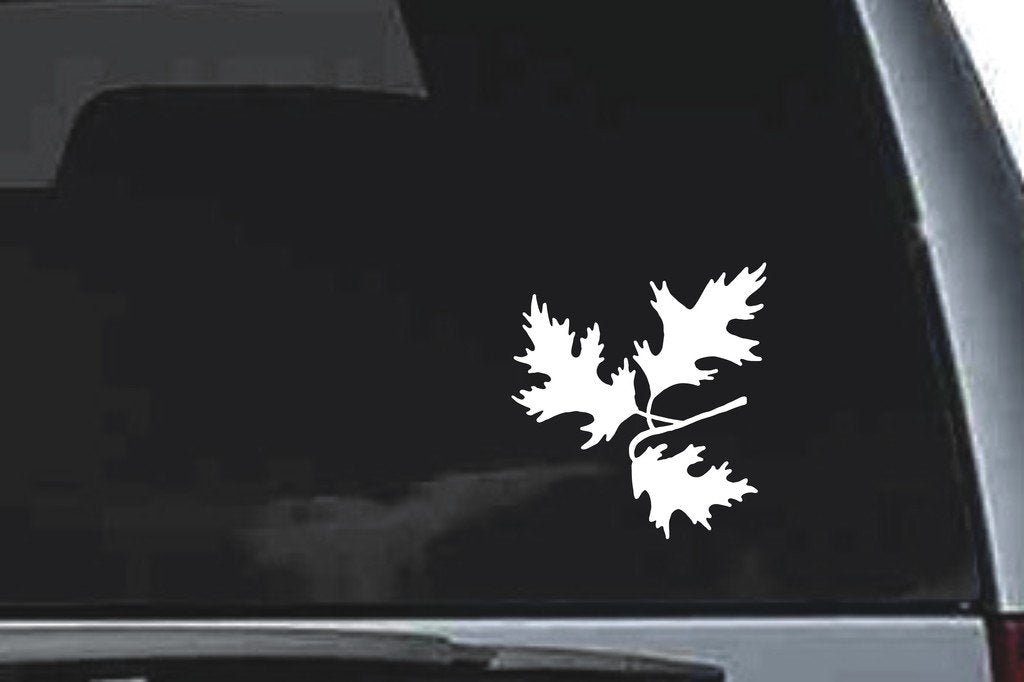 Picniva Oak Sty6 Vinyl Car Window Decal, Approx 5 in