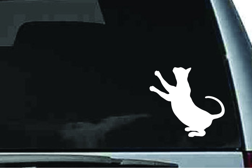Picniva Devon Rex Cat Sty13 Vinyl Car Window Decal, Approx 5 in