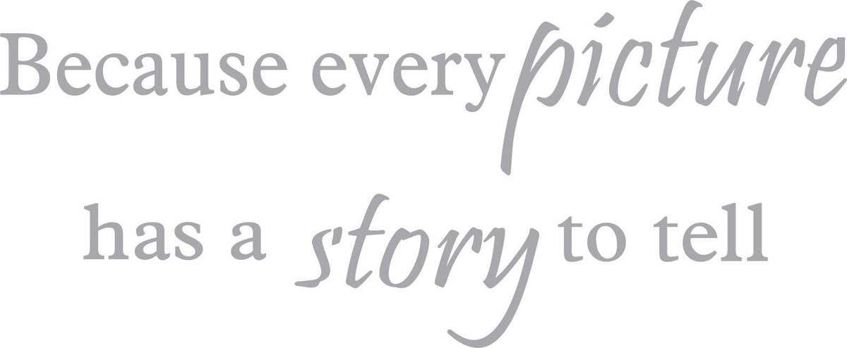 Decaltor Every Picture Story Quote Wall Decal