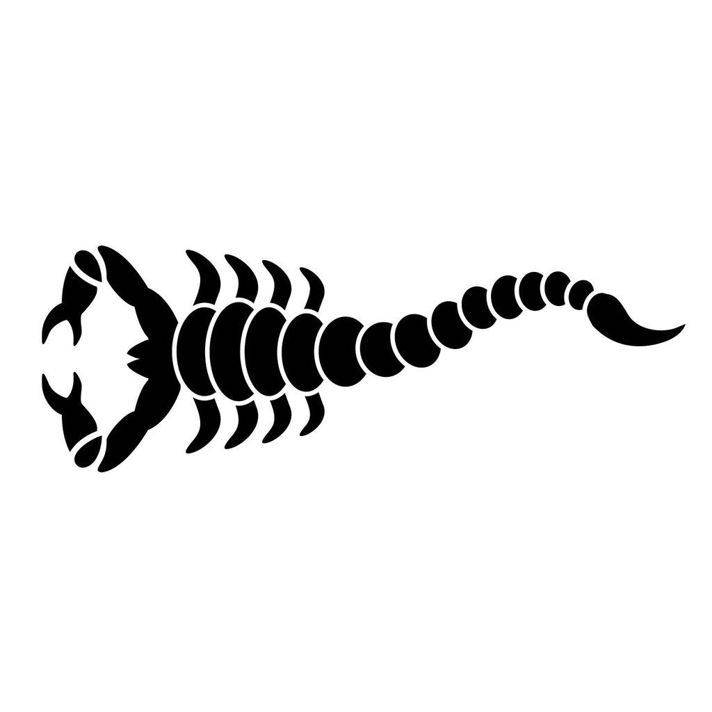 Picniva Style 124 Racing Side Stripe Vinyl Decals, 20 x 57 in, 2 Pc