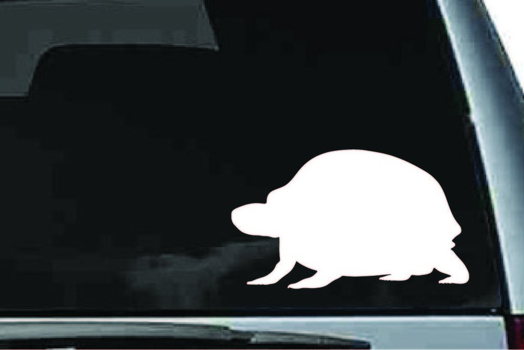 Picniva Box Turtle Sty2 Vinyl Car Window Decal, Approx 5 in