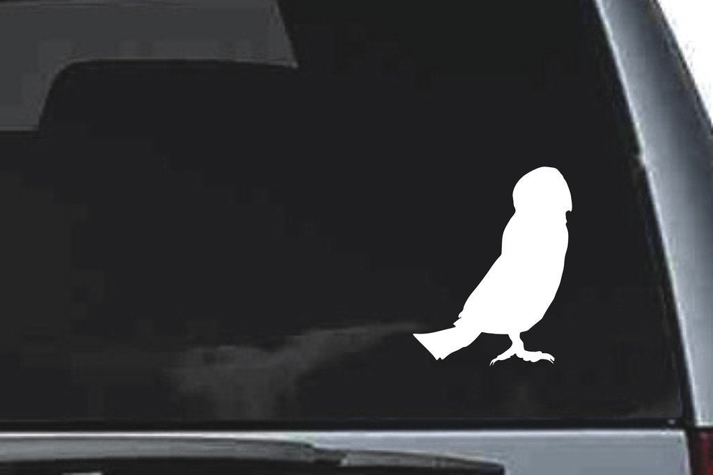 Picniva Barn Owl Styl3 Vinyl Car Window Decal, Approx 5 in