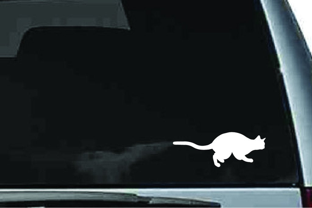 Picniva Cat Sty24a Vinyl Car Window Decal, Approx 5 in