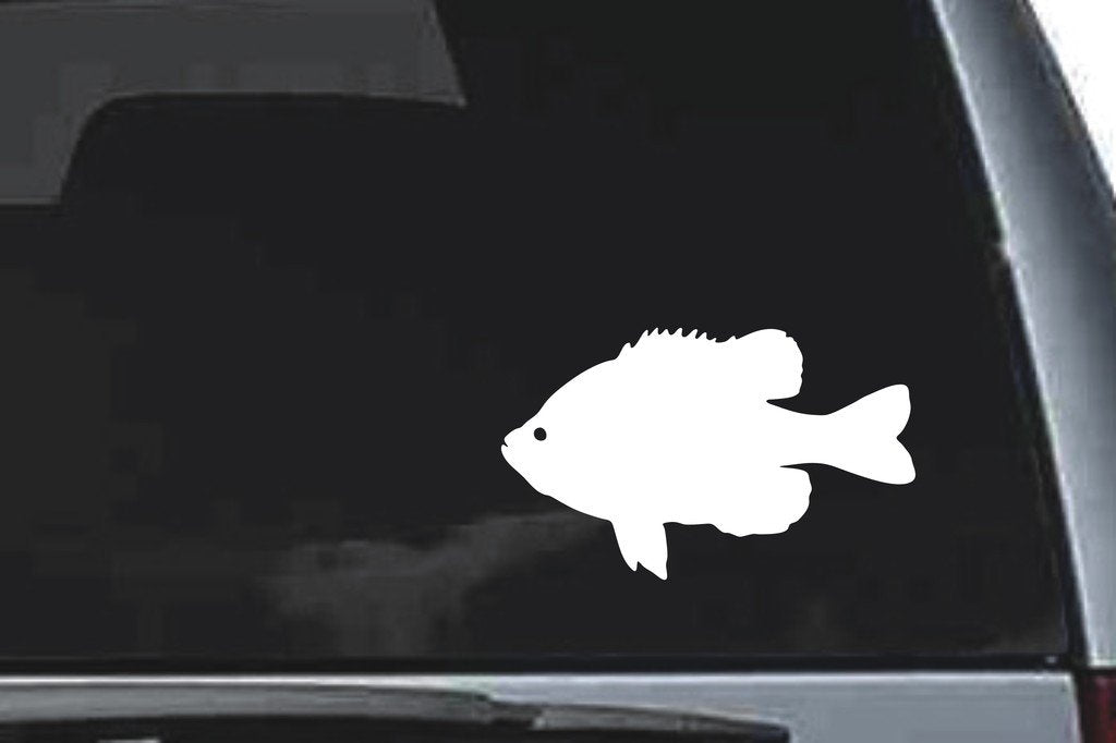 Picniva Fish Sty50 Vinyl Car Window Decal, Approx 5 in