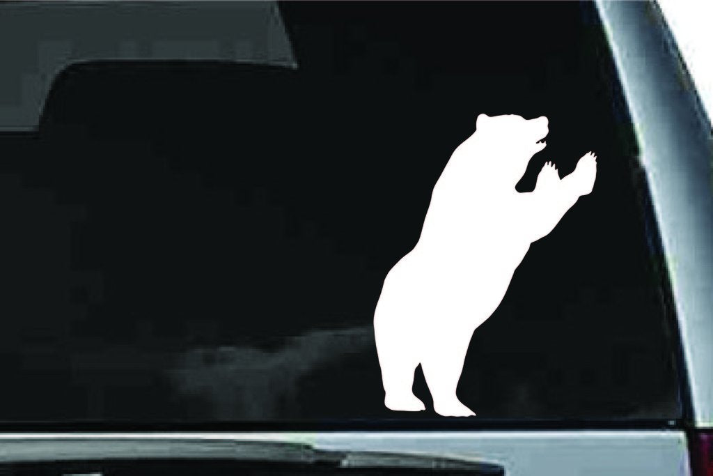 Picniva Bear Sty23 Vinyl Car Window Decal, Approx 5 in