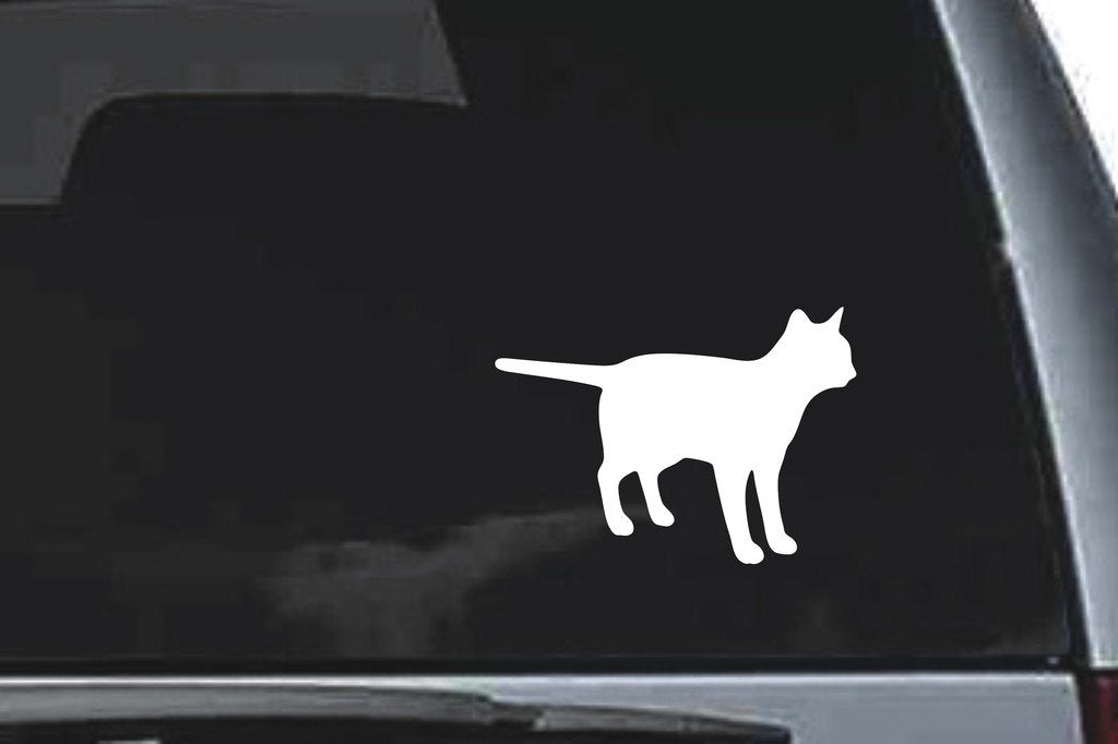 Picniva Cat Sty17a Vinyl Car Window Decal, Approx 5 in