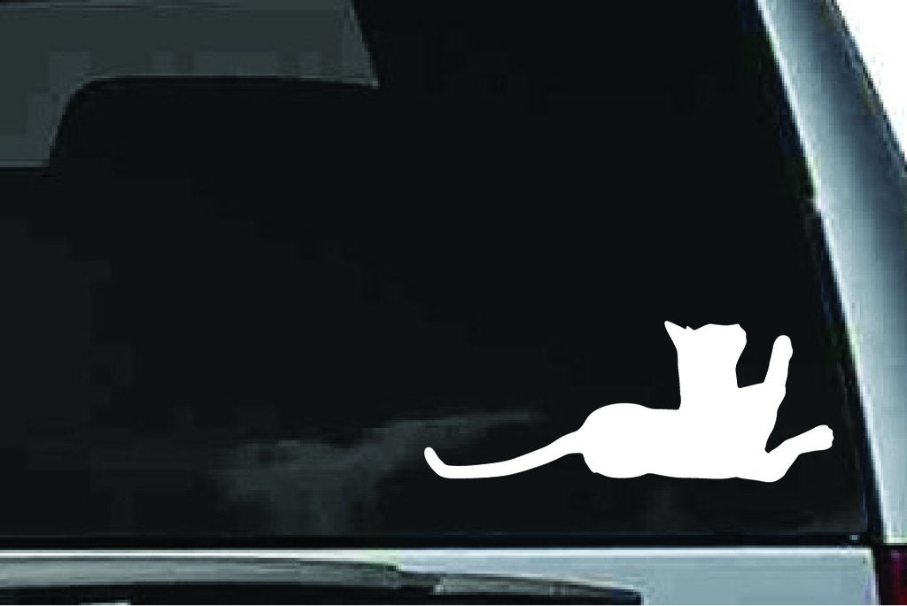 Picniva Abyssinian Cat Sty3 Vinyl Car Window Decal, Approx 5 in
