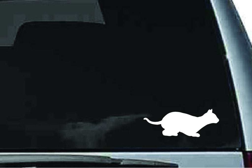 Picniva Siamese Cat Sty4 Vinyl Car Window Decal, Approx 5 in