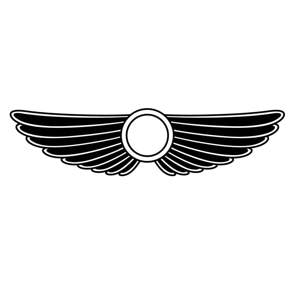 Picniva Style 235 Racing Side Stripe Vinyl Decals, 22 x 89 in, 2 Pc