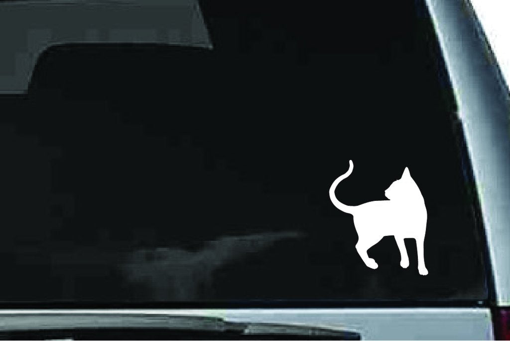 Picniva Abyssinian Cat Sty10 Vinyl Car Window Decal, Approx 5 in