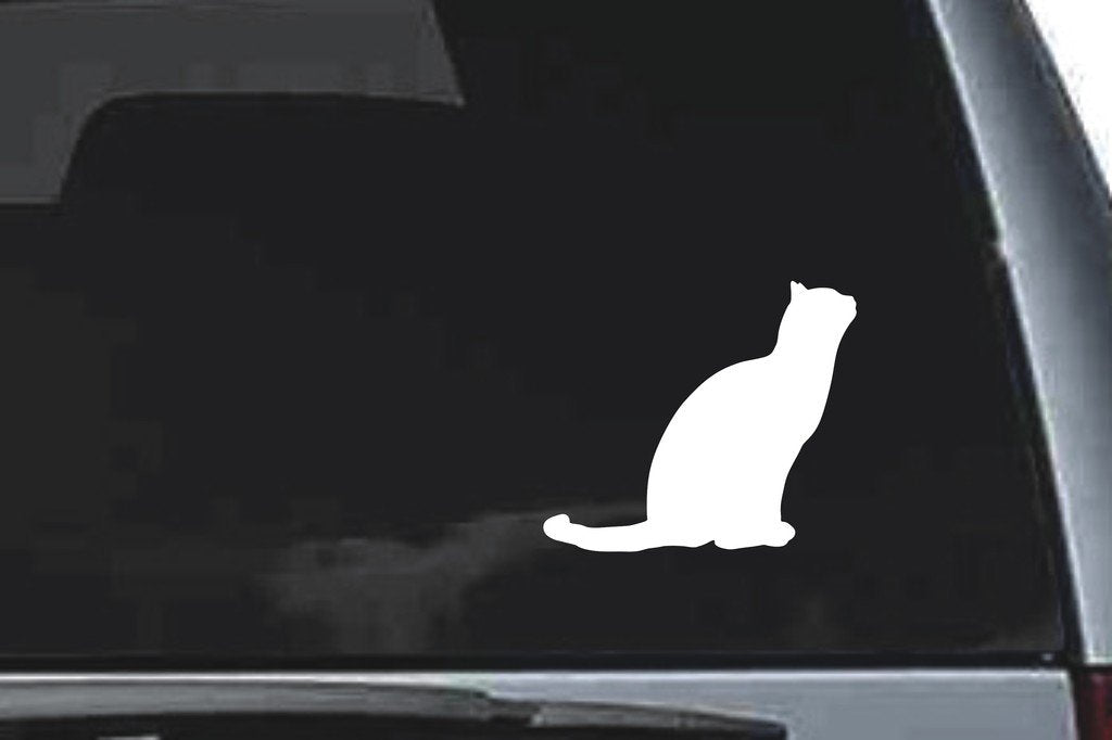 Picniva British Shorthair Cat Sty6 Vinyl Car Window Decal, Approx 5 in