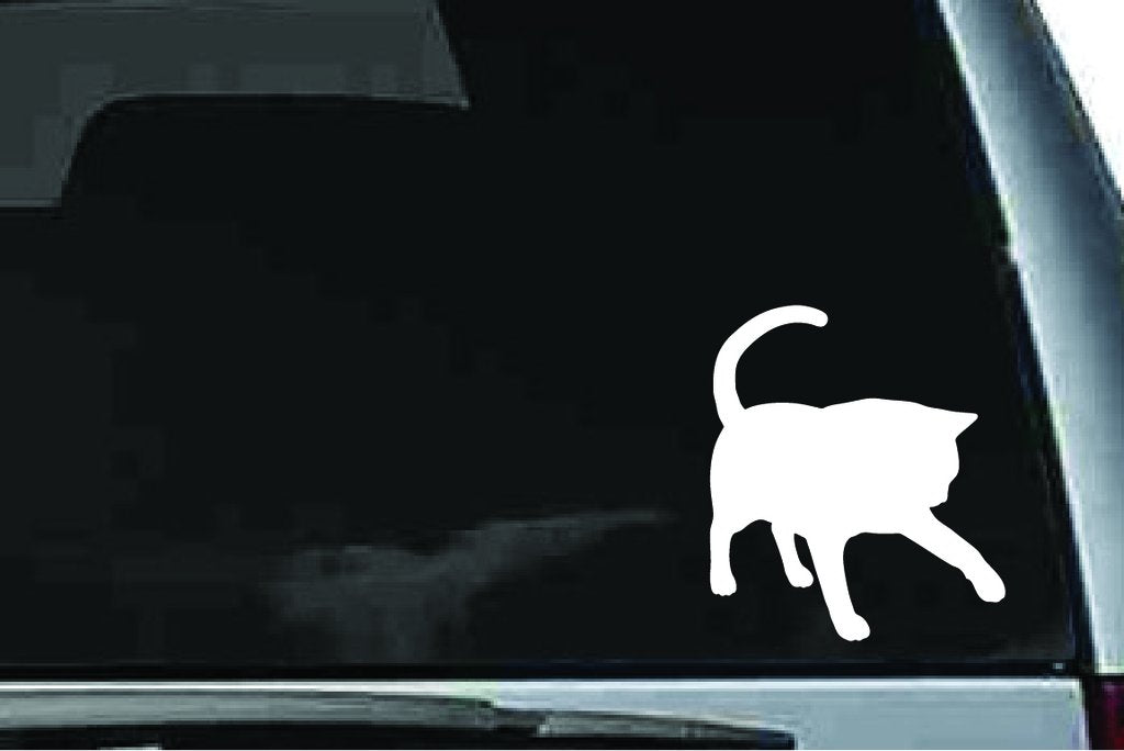 Picniva British Shorthair Cat Sty5 Vinyl Car Window Decal, Approx 5 in