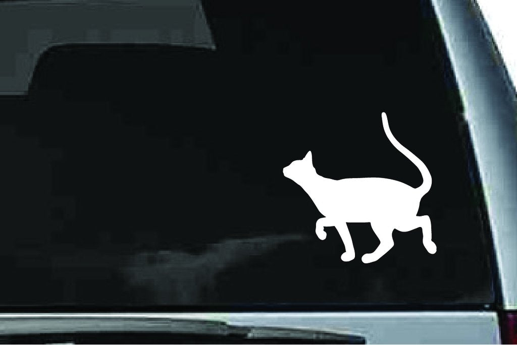 Picniva Devon Rex Cat Sty12 Vinyl Car Window Decal, Approx 5 in