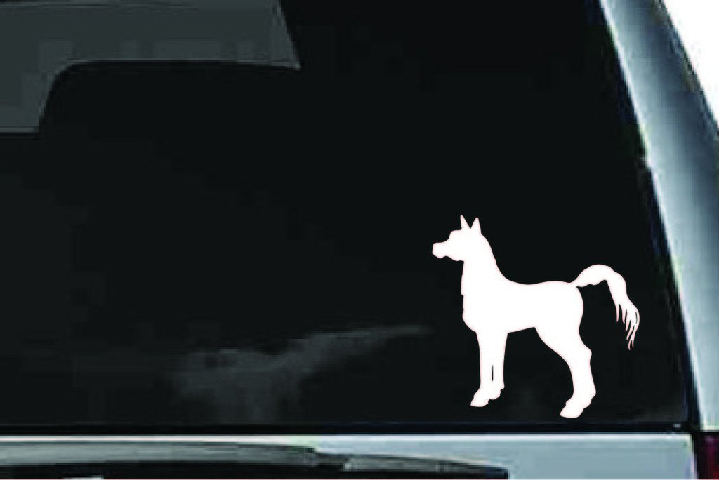 Picniva Pony Sty1a Vinyl Car Window Decal, Approx 5 in