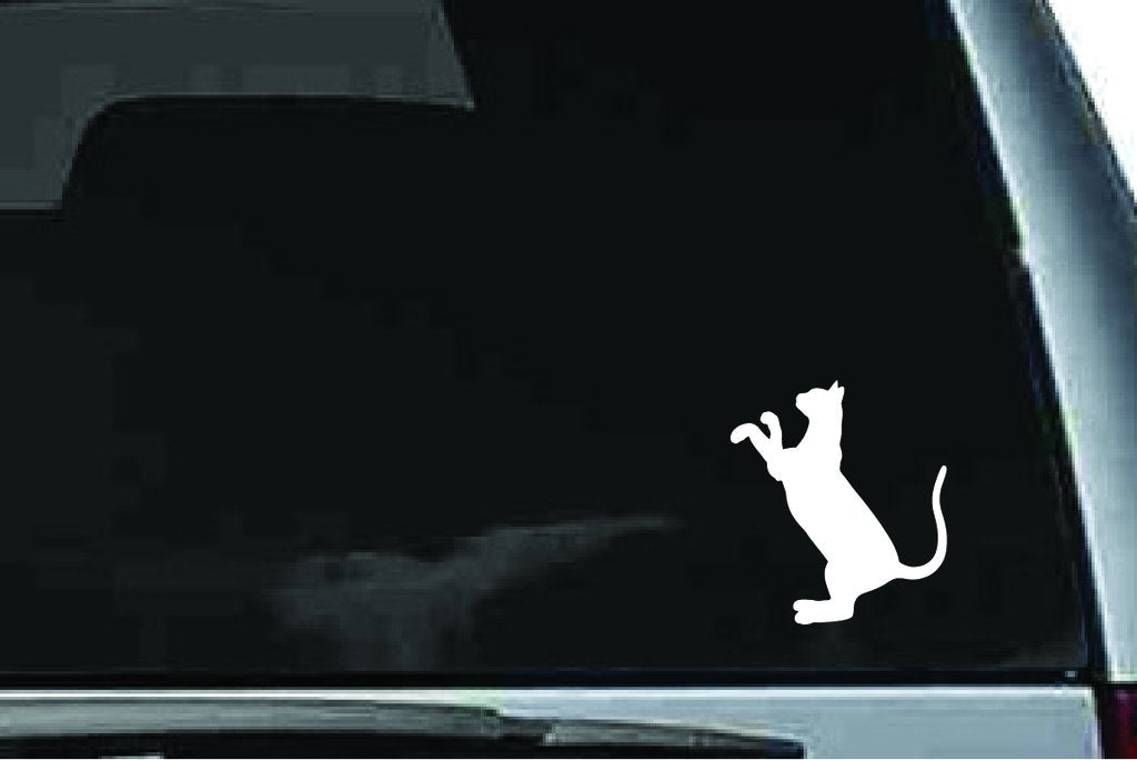 Picniva Devon Rex Cat Sty11 Vinyl Car Window Decal, Approx 5 in