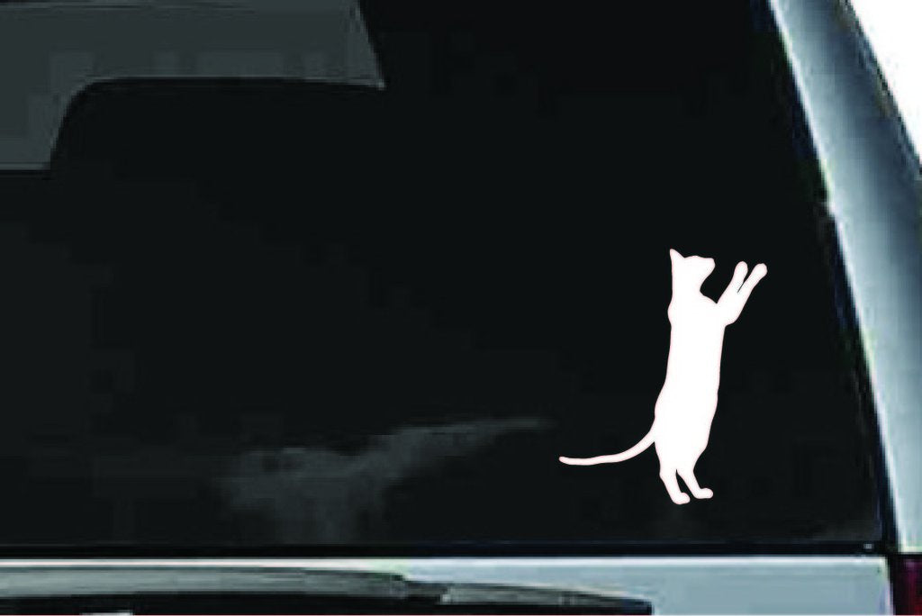 Picniva Siamese Cat Sty17 Vinyl Car Window Decal, Approx 5 in