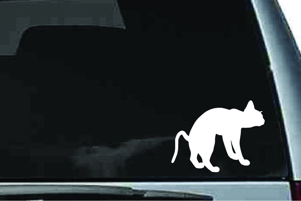 Picniva Siamese Cat Sty2 Vinyl Car Window Decal, Approx 5 in