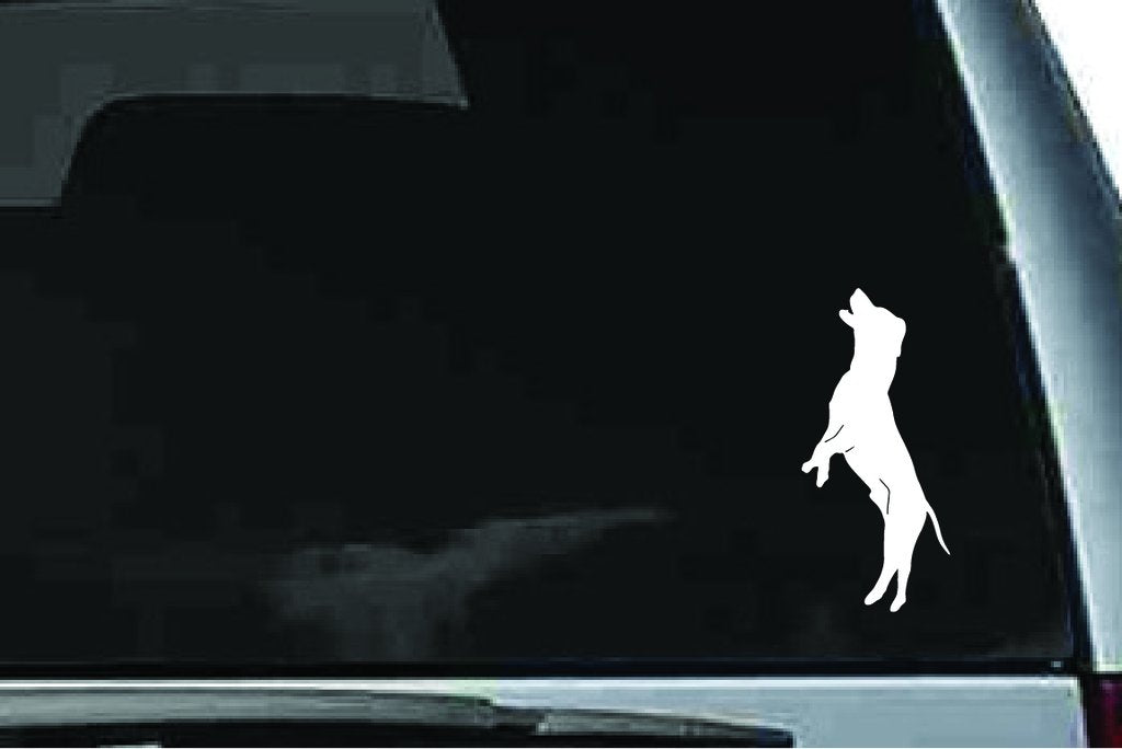 Picniva Dog Sty16 Vinyl Car Window Decal, Approx 5 in