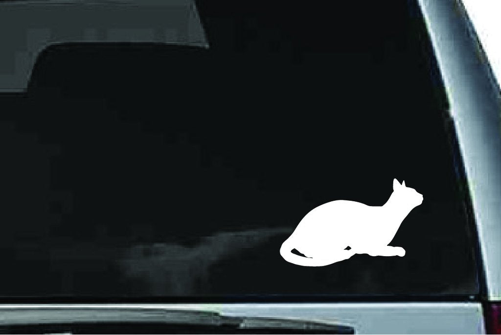 Picniva Abyssinian Cat Sty9 Vinyl Car Window Decal, Approx 5 in