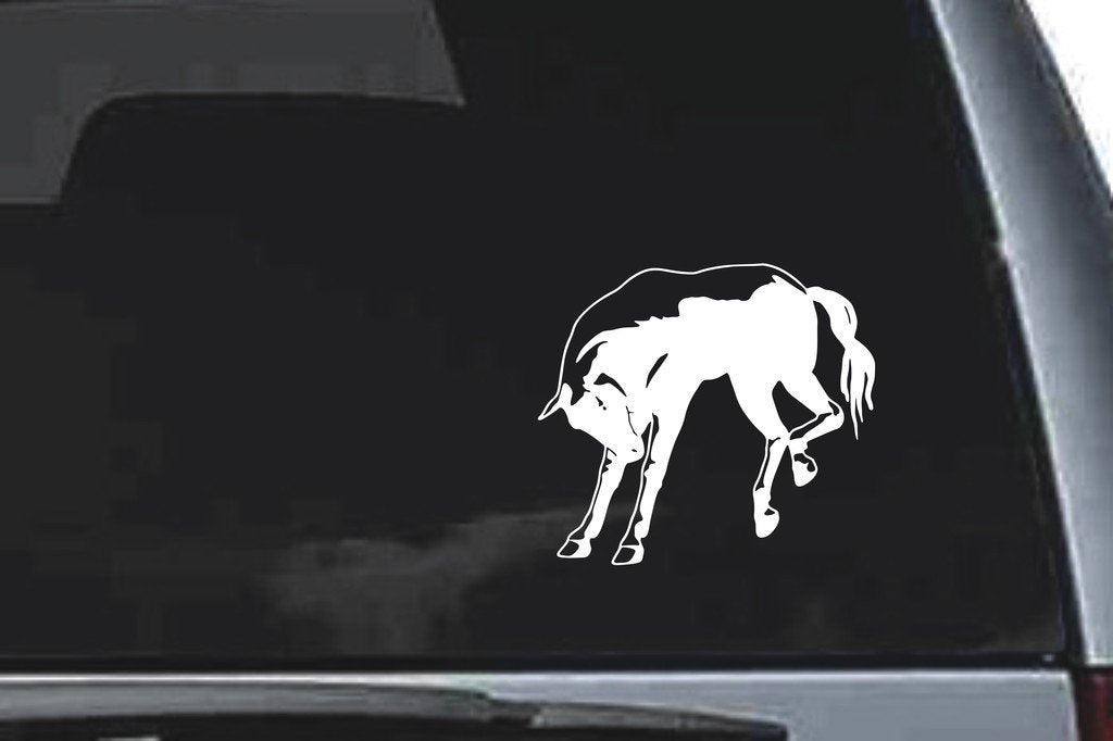 Picniva Horse Sty40 Vinyl Car Window Decal, Approx 5 in