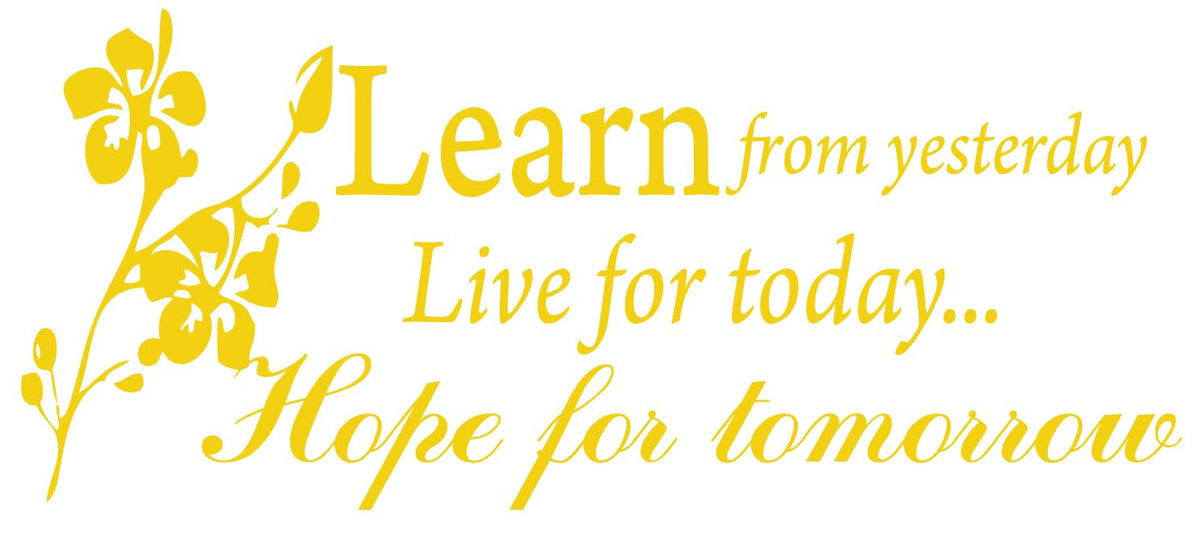 Decaltor Learn from Yesterday Quote Vinyl Wall Decal, Home Decor