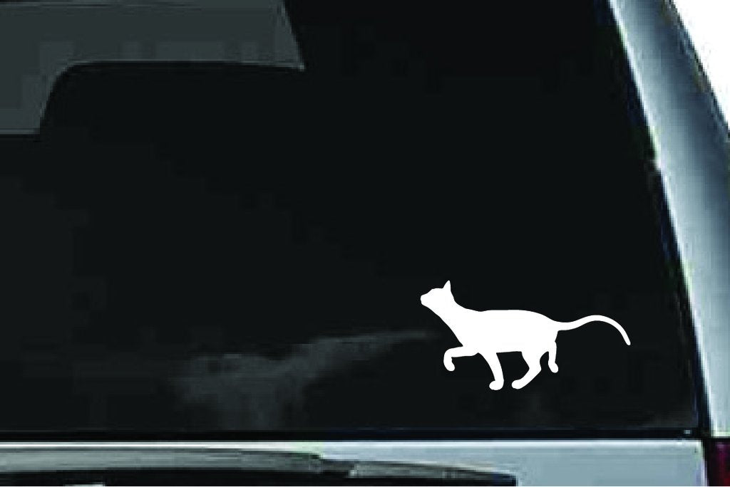 Picniva Devon Rex Cat Sty14 Vinyl Car Window Decal, Approx 5 in
