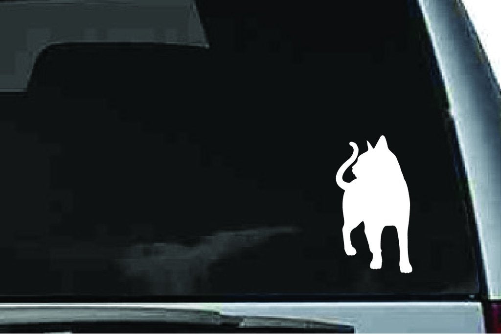 Picniva Abyssinian Cat Sty2 Vinyl Car Window Decal, Approx 5 in