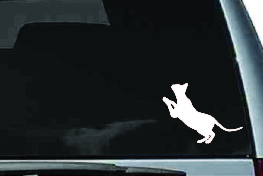 Picniva Siamese Cat Sty14 Vinyl Car Window Decal, Approx 5 in