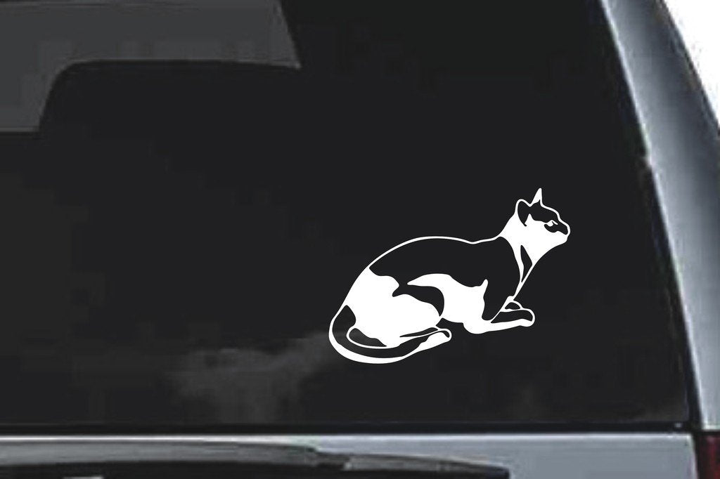 Picniva Cat Sty23 Vinyl Car Window Decal, Approx 5 in
