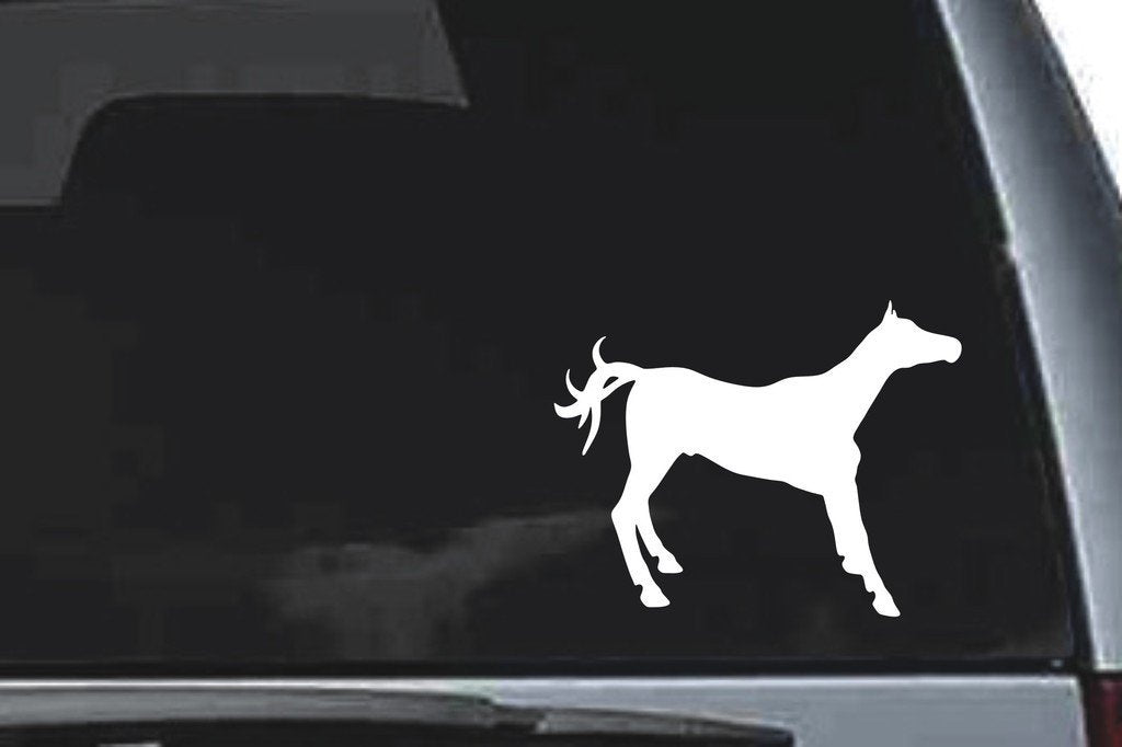 Picniva Horse Sty82 Vinyl Car Window Decal, Approx 5 in