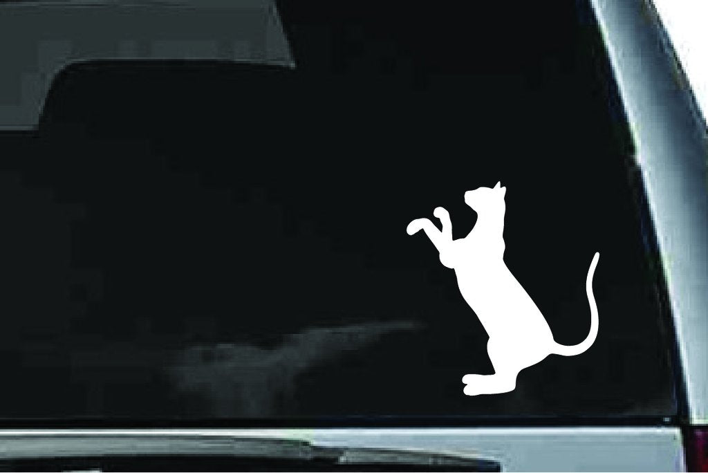 Picniva Oriental Cat Sty10 Vinyl Car Window Decal, Approx 5 in
