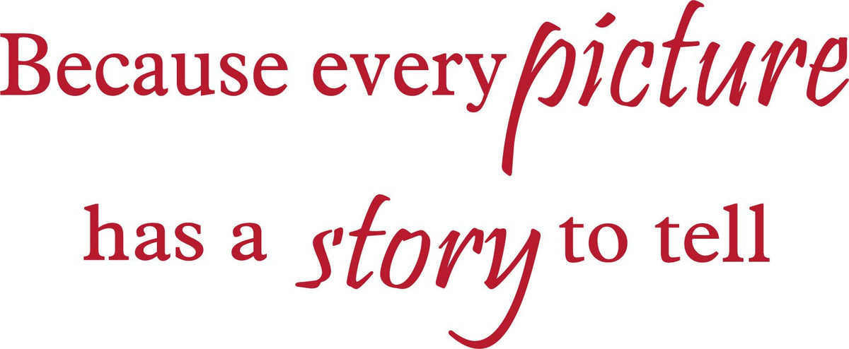 Decaltor Every Picture Story Quote Wall Decal