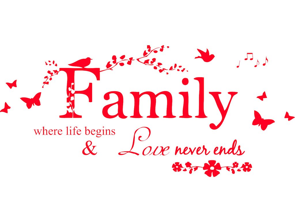 Picniva Family Quote Lettering Vinyl Wall Decal, Red, 22 x 10 inches