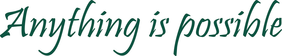 Decaltor Anything Is Possible Decal