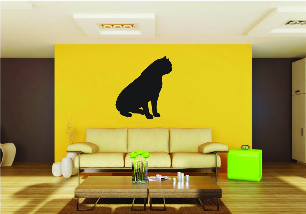 Picniva Exotic Shorthair Cat Style 5 Removable Vinyl Wall Decal