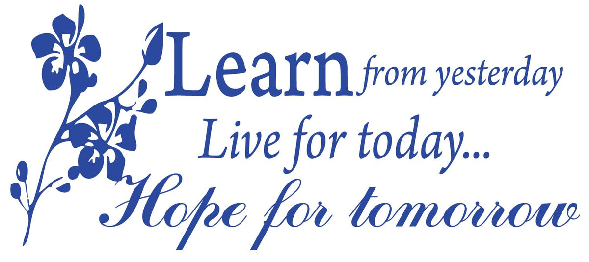 Decaltor Learn from Yesterday Quote Vinyl Wall Decal, Home Decor