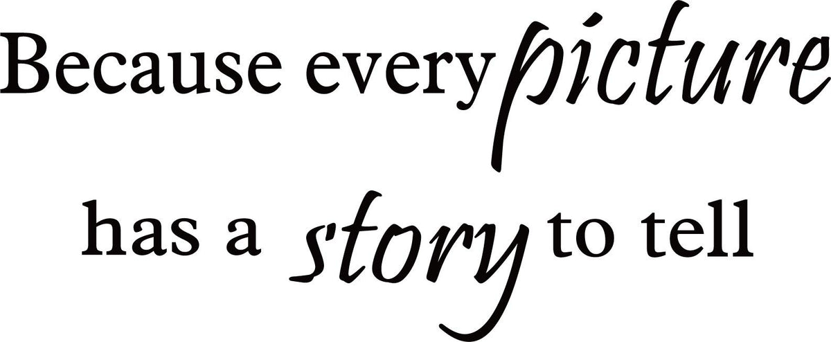 Decaltor Every Picture Story Quote Wall Decal
