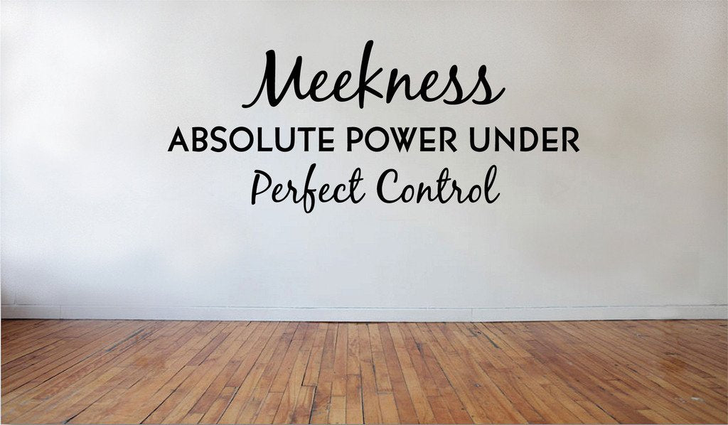 Picniva Meekness Perfect Control Removable Vinyl Wall Decal, 23 x 10 in