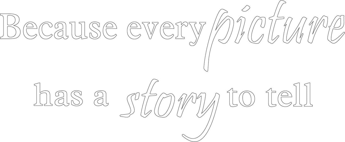Decaltor Every Picture Story Quote Wall Decal