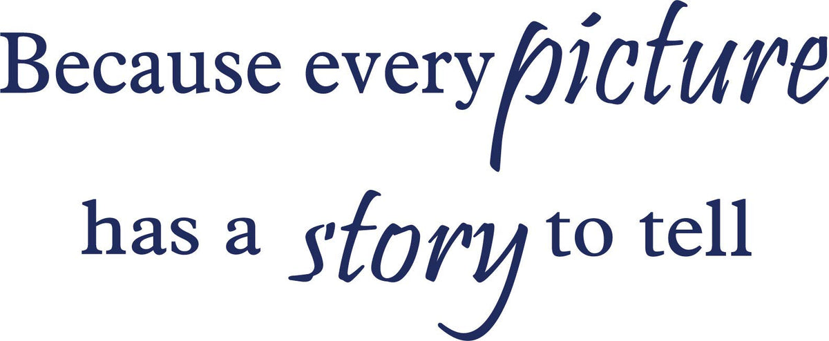 Decaltor Every Picture Story Quote Wall Decal